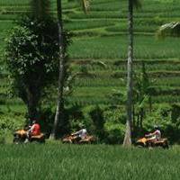 atv ride payangan bali attractions tour service tour activities in payangan bali