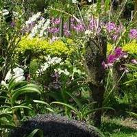 bali orchid garden sanur bali attractions tour service tour activities in sanur bali
