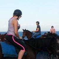 horse riding canggu bali attractions tour service tour activities in canggu bali