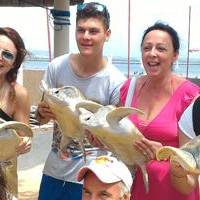 turtle island tanjung benoa bali attractions tour service tour activities in tanjung-benoa bali
