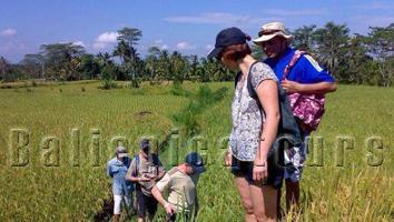 epica bali tour service and lokal or private bali tour guide services