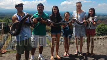 epica bali tour service and lokal or private bali tour guide services