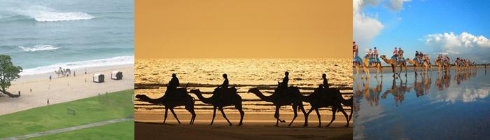 Riding Camel In Bali Tours Activity