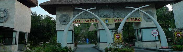 attraction bali safari and marine park in gianyar with epica bali tour service