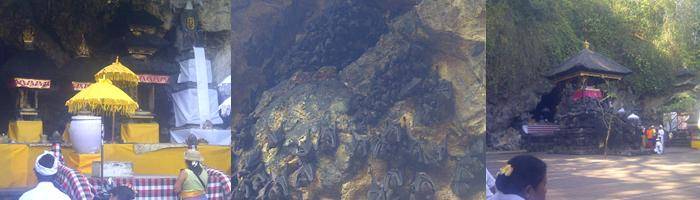 attraction gua lawah or bat cave in klungkung with epica bali tour service attraction gua lawah or bat cave in klungkung with epica bali tour service