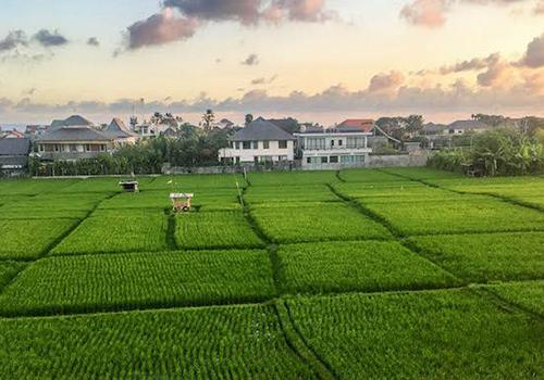 popular tour service place in canggu bali with epica bali tour