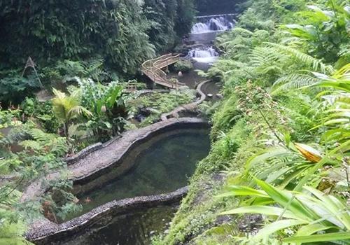 popular tour service place in payangan bali with epica bali tour