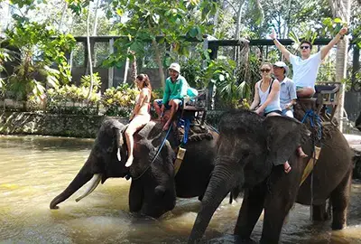 bali epica tour service elephant riding expedition attractions with epica bali tour servce 