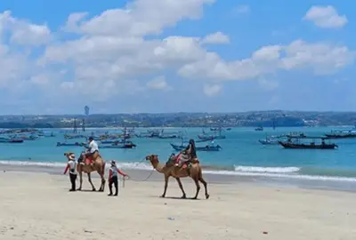 activities riding camel tour package in nusa dua bali activities riding camel tour package in nusa dua bali
