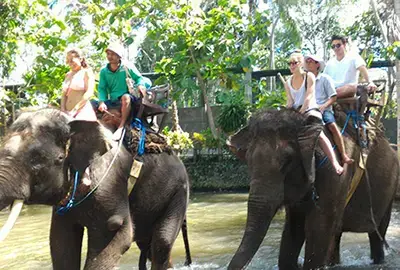 activities tour package in Bali to ride elephant on the river