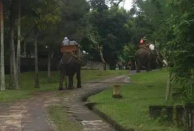 adventure bali tour package elephant riding tour