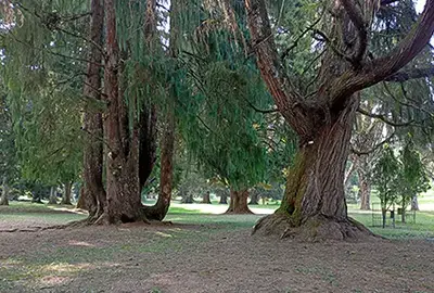 full day tour botanical garden bedugul bali full day tour botanical garden bedugul bali