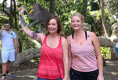 package half day tour monkey forest ubud bali 