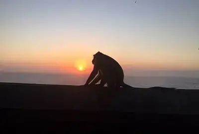 uluwatu-temple-sunset-tour-package-bali