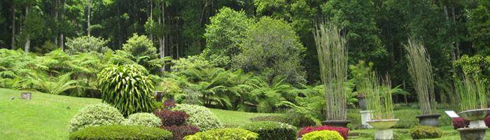 package full day tour bedugul botanical garden bali tour package full day tour bedugul botanical garden bali tour