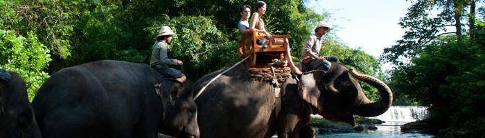 package fun and adventure tour elephant riding on the river  bali tour