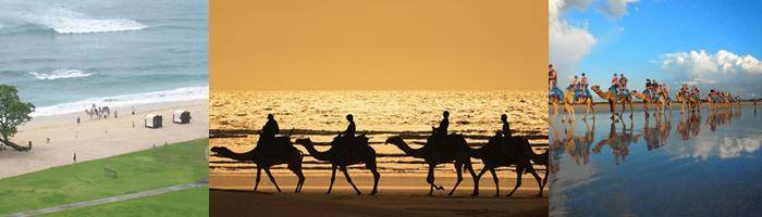package half day tour riding camel in bali tours activity bali tour package half day tour riding camel in bali tours activity bali tour