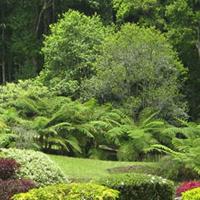 Bedugul Botanical Garden