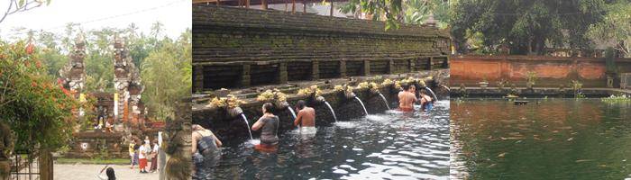 package full day tour tirta empul tour holy spring water bali tour